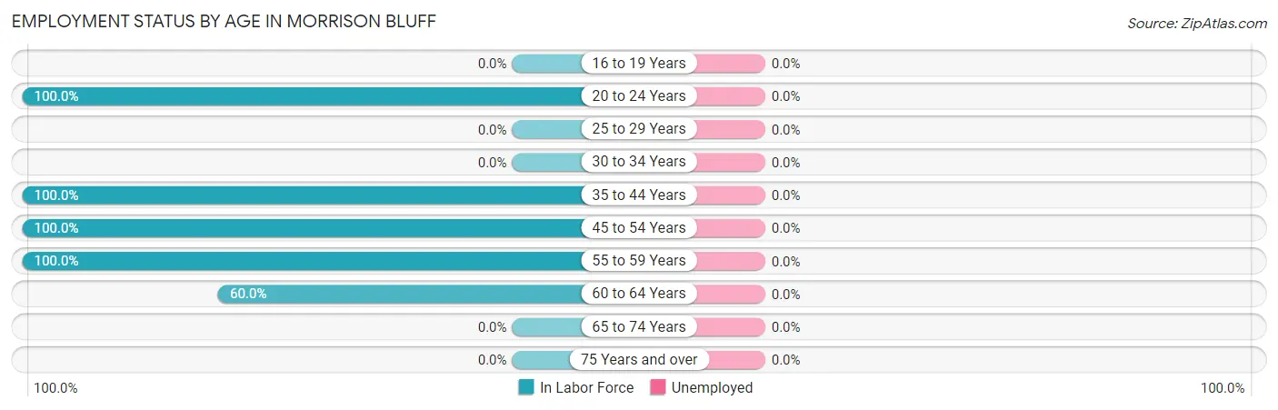 Employment Status by Age in Morrison Bluff
