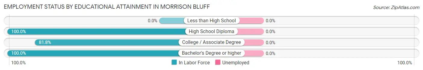 Employment Status by Educational Attainment in Morrison Bluff