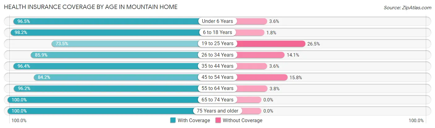 Health Insurance Coverage by Age in Mountain Home