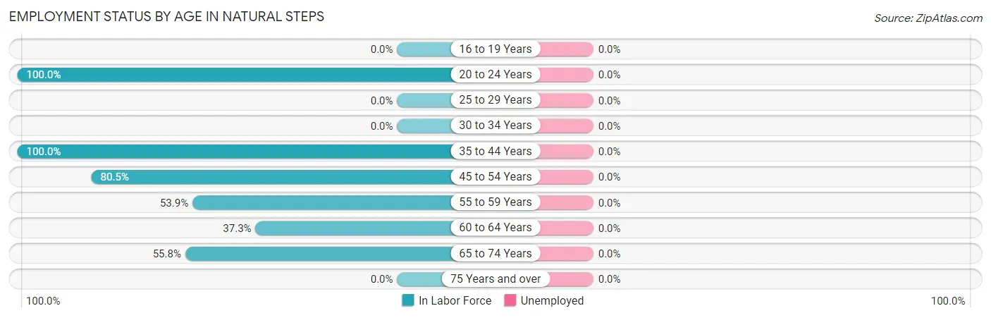 Employment Status by Age in Natural Steps