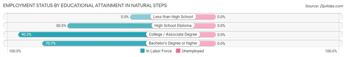 Employment Status by Educational Attainment in Natural Steps