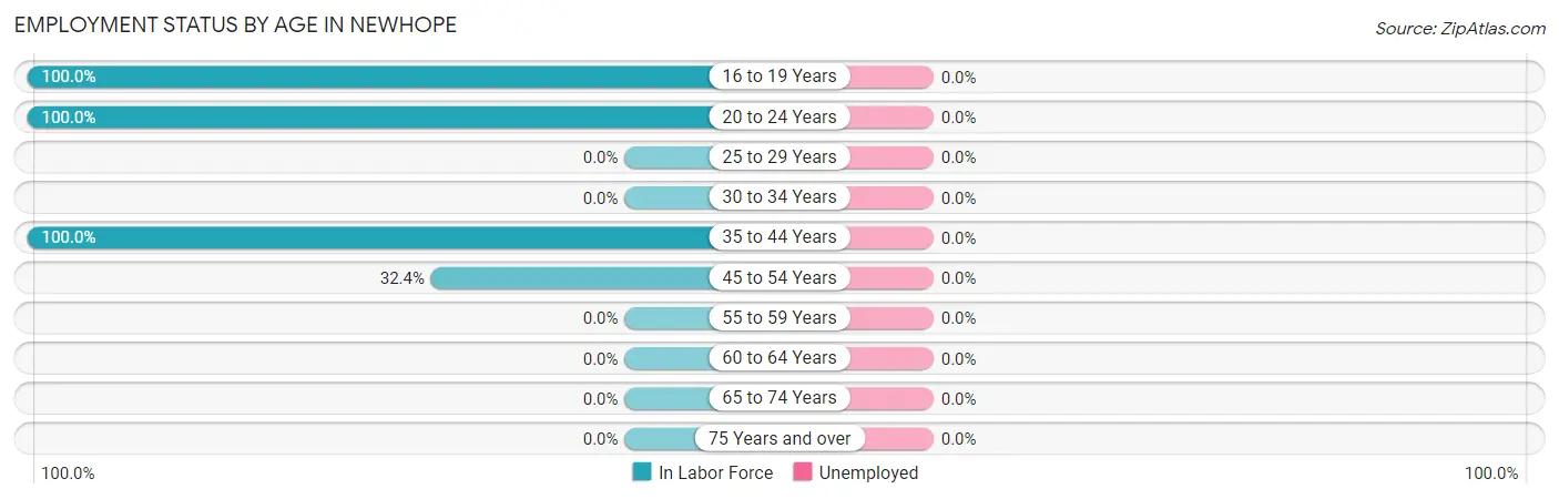 Employment Status by Age in Newhope
