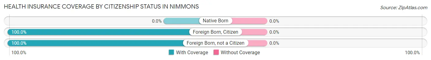 Health Insurance Coverage by Citizenship Status in Nimmons