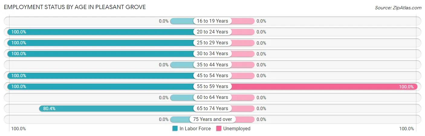 Employment Status by Age in Pleasant Grove