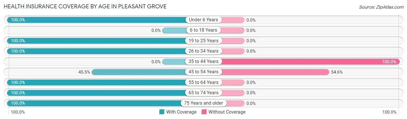 Health Insurance Coverage by Age in Pleasant Grove