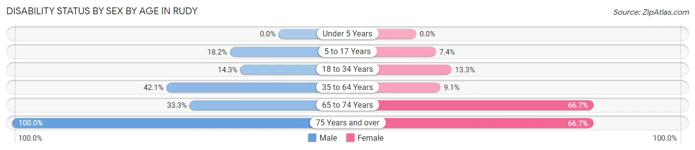 Disability Status by Sex by Age in Rudy