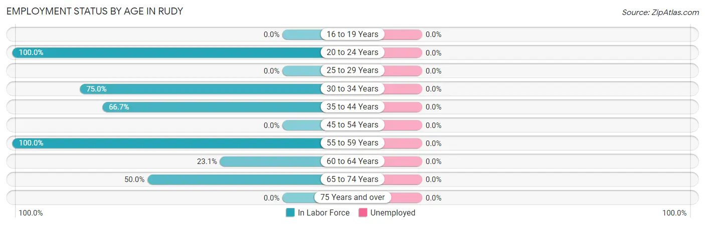 Employment Status by Age in Rudy