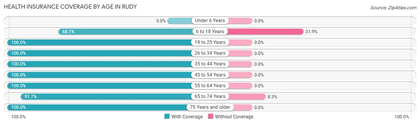 Health Insurance Coverage by Age in Rudy