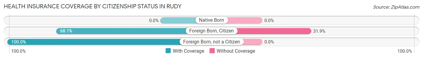 Health Insurance Coverage by Citizenship Status in Rudy