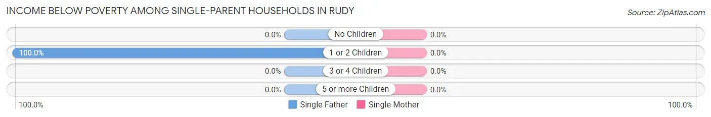 Income Below Poverty Among Single-Parent Households in Rudy