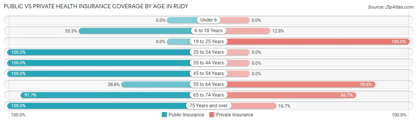 Public vs Private Health Insurance Coverage by Age in Rudy