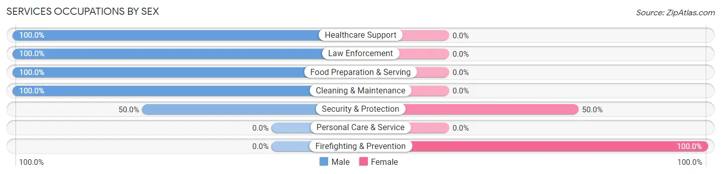 Services Occupations by Sex in Rudy