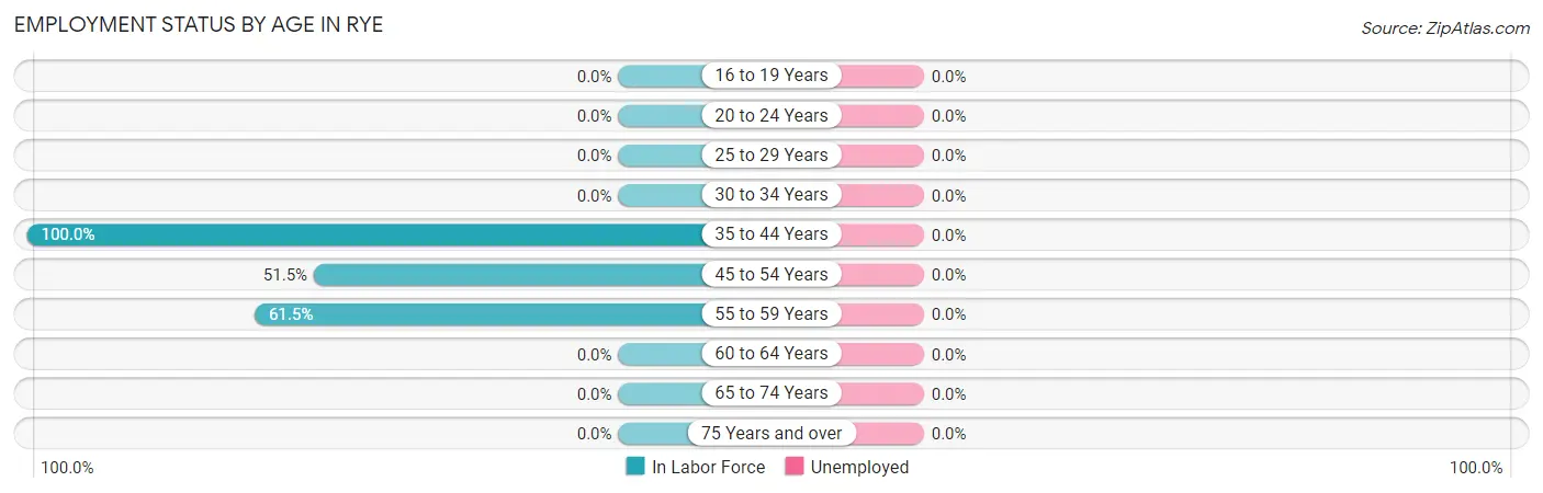 Employment Status by Age in Rye