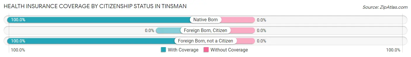 Health Insurance Coverage by Citizenship Status in Tinsman