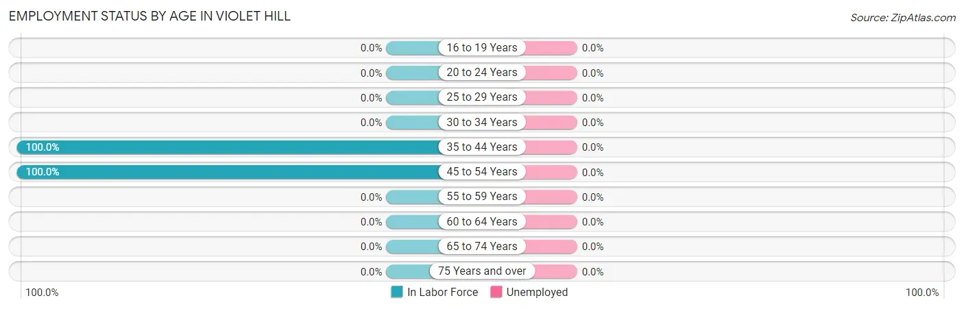 Employment Status by Age in Violet Hill