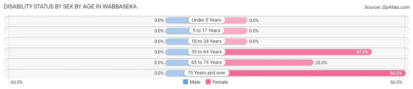 Disability Status by Sex by Age in Wabbaseka