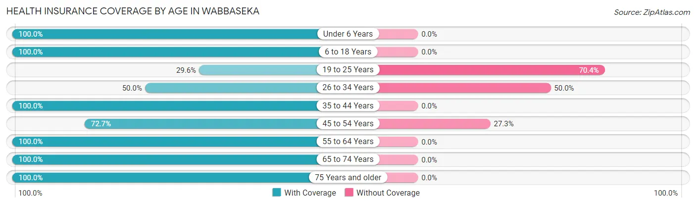 Health Insurance Coverage by Age in Wabbaseka