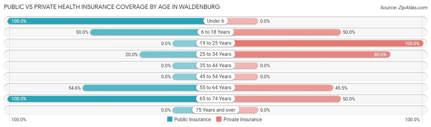 Public vs Private Health Insurance Coverage by Age in Waldenburg