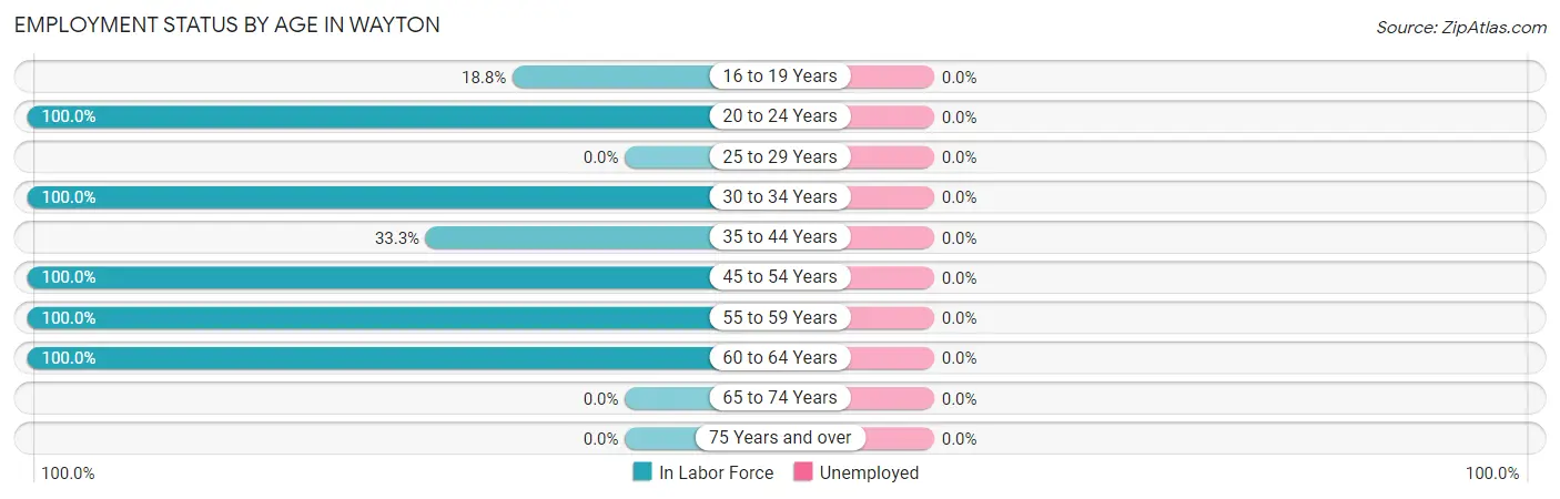 Employment Status by Age in Wayton