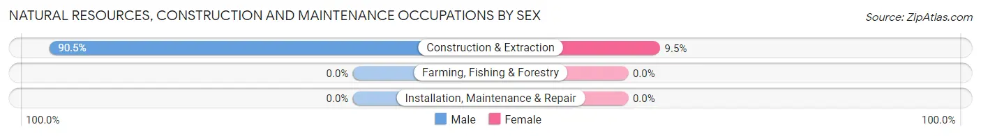 Natural Resources, Construction and Maintenance Occupations by Sex in Wrightsville