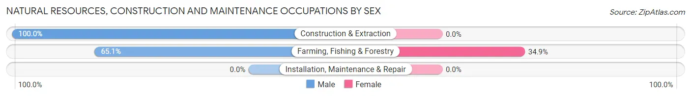 Natural Resources, Construction and Maintenance Occupations by Sex in Aguila