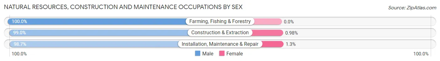 Natural Resources, Construction and Maintenance Occupations by Sex in Apache Junction