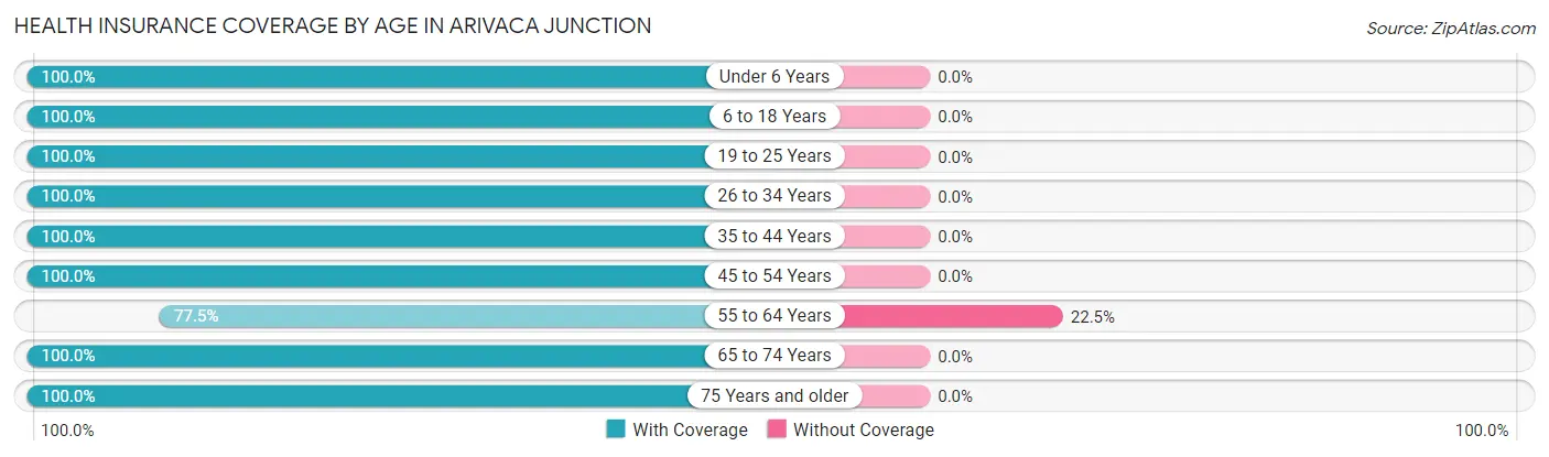 Health Insurance Coverage by Age in Arivaca Junction