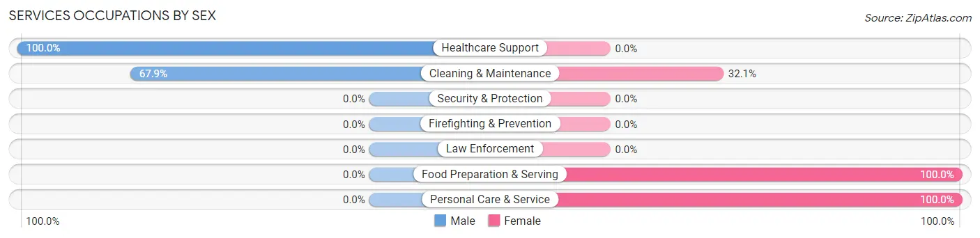 Services Occupations by Sex in Arivaca Junction