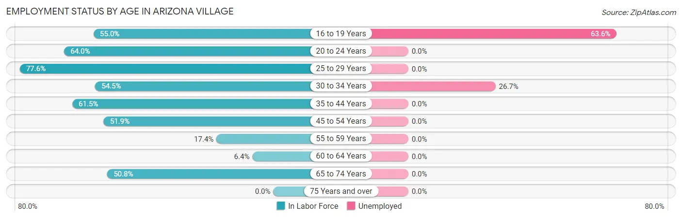 Employment Status by Age in Arizona Village
