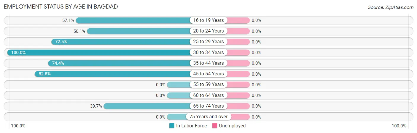 Employment Status by Age in Bagdad