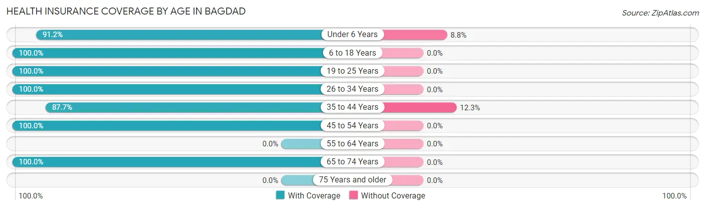 Health Insurance Coverage by Age in Bagdad