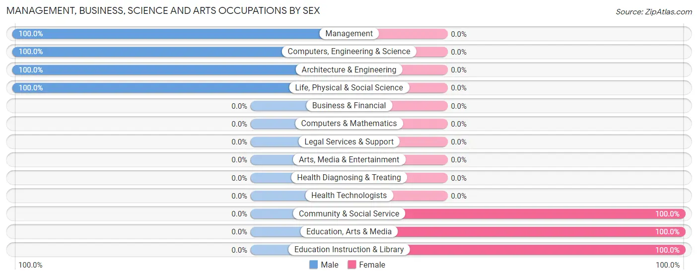 Management, Business, Science and Arts Occupations by Sex in Bagdad