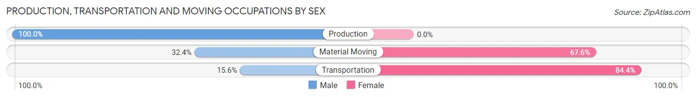 Production, Transportation and Moving Occupations by Sex in Bagdad