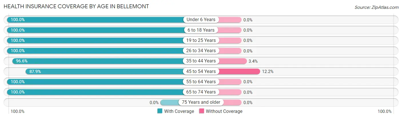 Health Insurance Coverage by Age in Bellemont