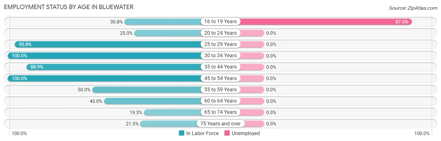 Employment Status by Age in Bluewater