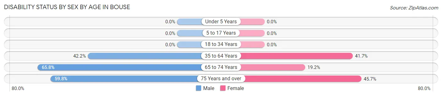 Disability Status by Sex by Age in Bouse