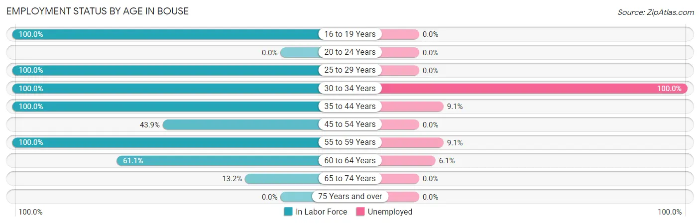 Employment Status by Age in Bouse