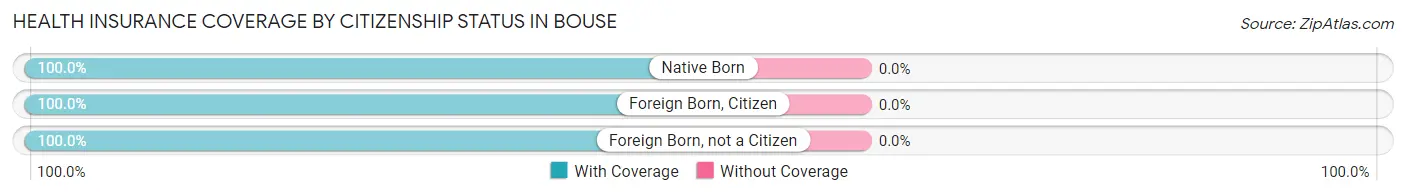 Health Insurance Coverage by Citizenship Status in Bouse