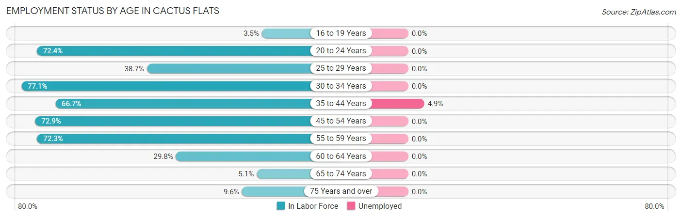 Employment Status by Age in Cactus Flats