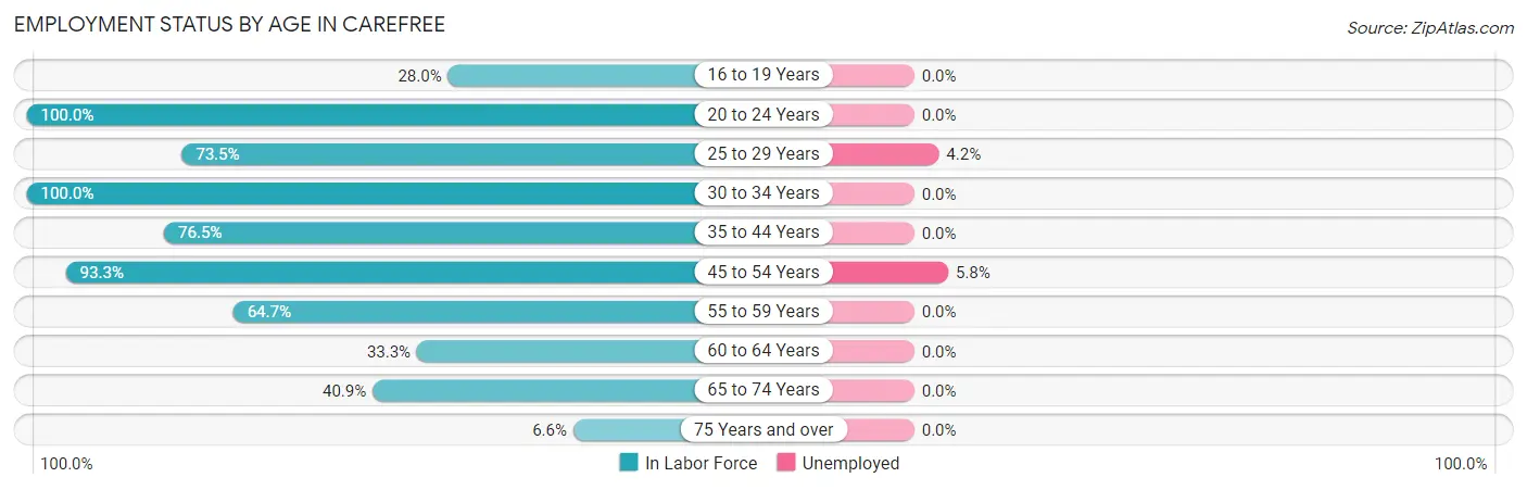 Employment Status by Age in Carefree