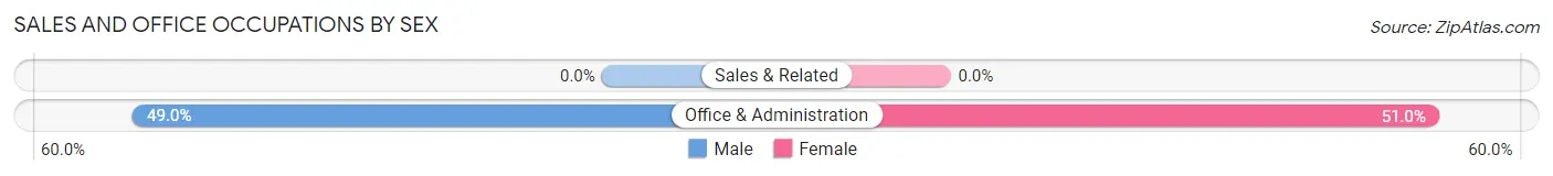 Sales and Office Occupations by Sex in Casa Blanca