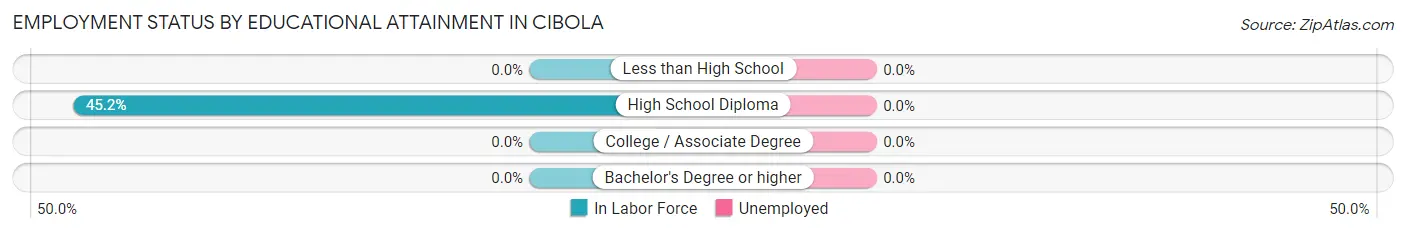 Employment Status by Educational Attainment in Cibola