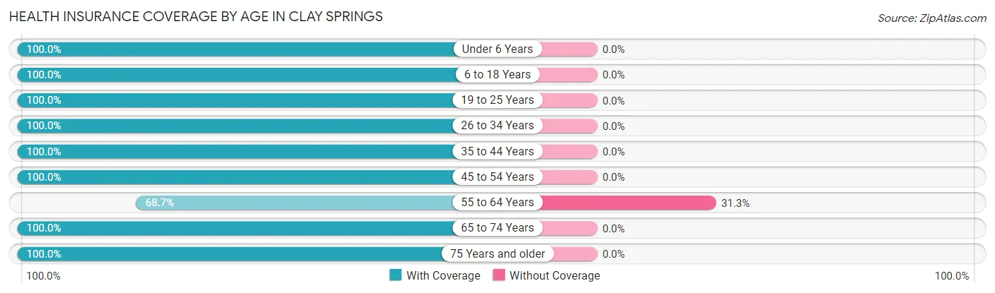 Health Insurance Coverage by Age in Clay Springs