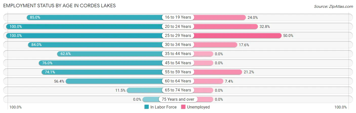 Employment Status by Age in Cordes Lakes