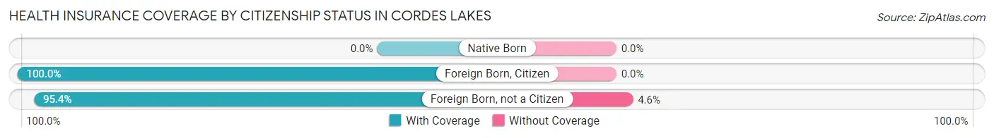 Health Insurance Coverage by Citizenship Status in Cordes Lakes
