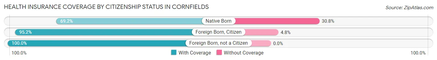 Health Insurance Coverage by Citizenship Status in Cornfields