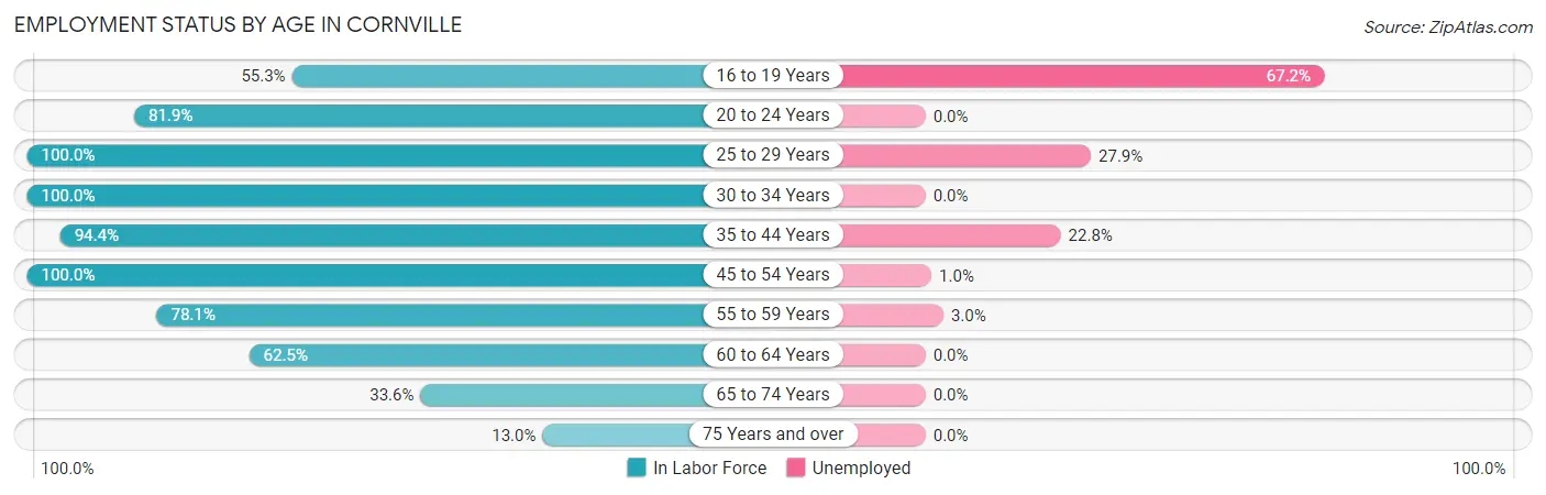 Employment Status by Age in Cornville