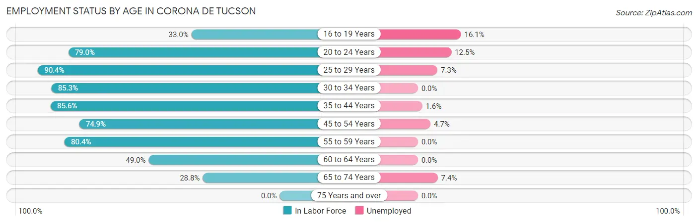 Employment Status by Age in Corona de Tucson