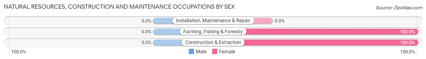 Natural Resources, Construction and Maintenance Occupations by Sex in Desert Hills
