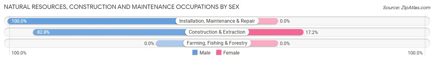 Natural Resources, Construction and Maintenance Occupations by Sex in Dewey Humboldt